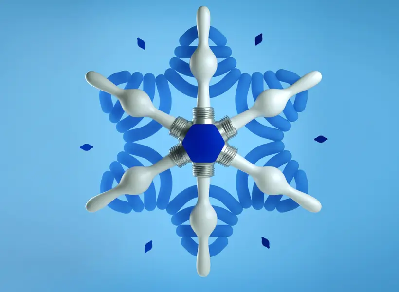 The Next Success - Blog Image